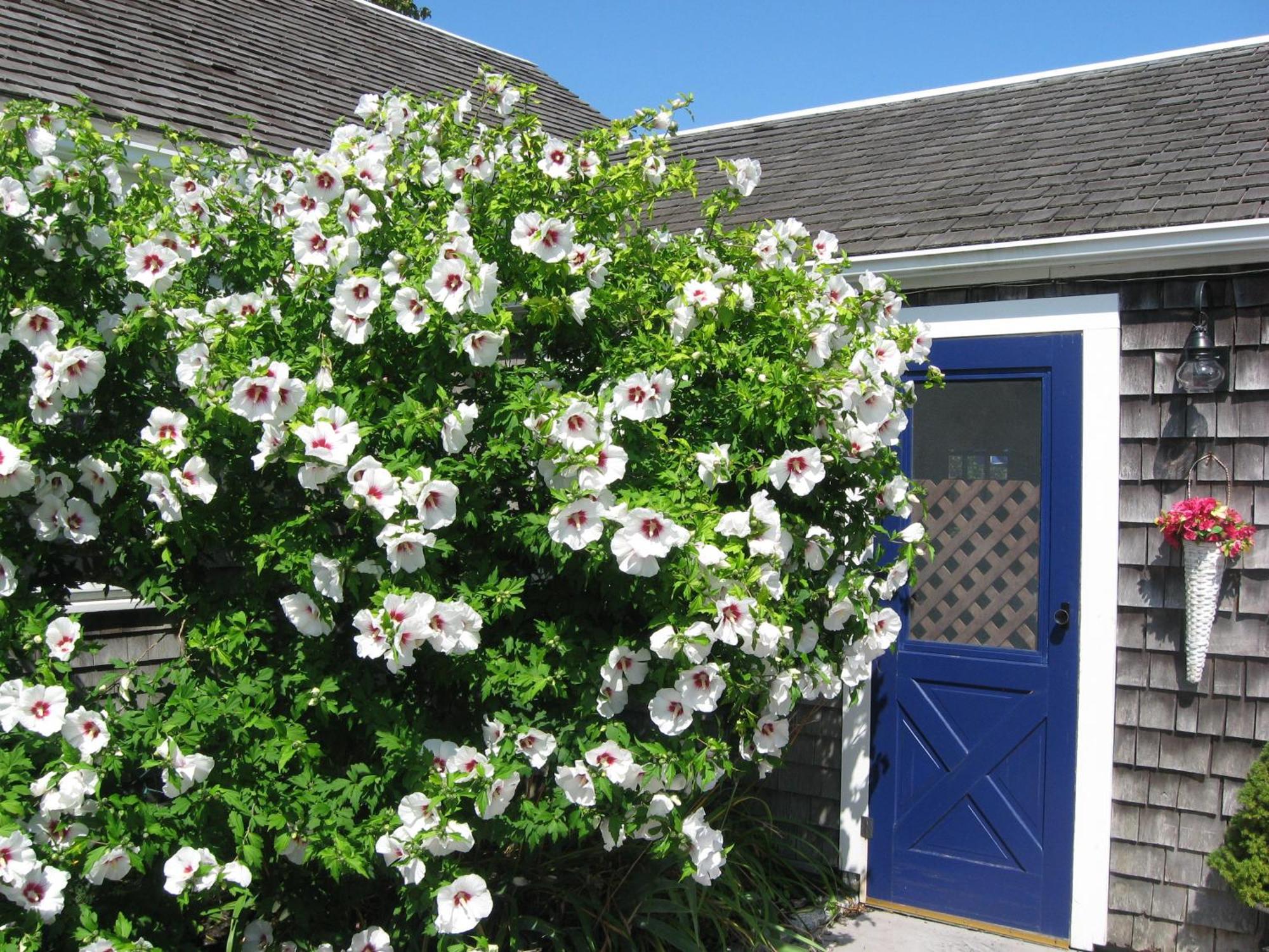 Ship'S Knees Inn East Orleans Bagian luar foto